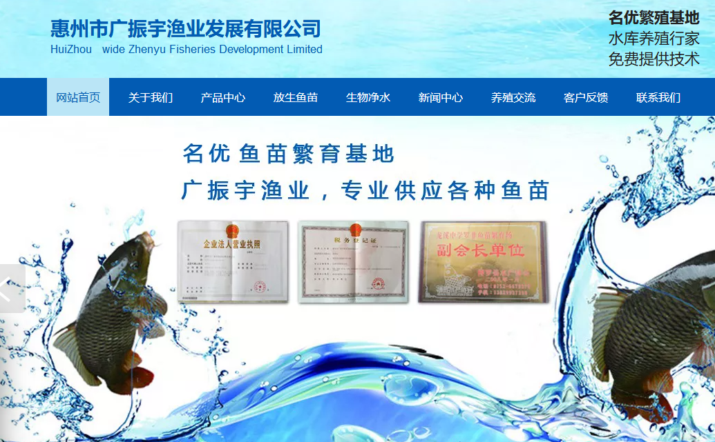 惠州展示型企业网站设计